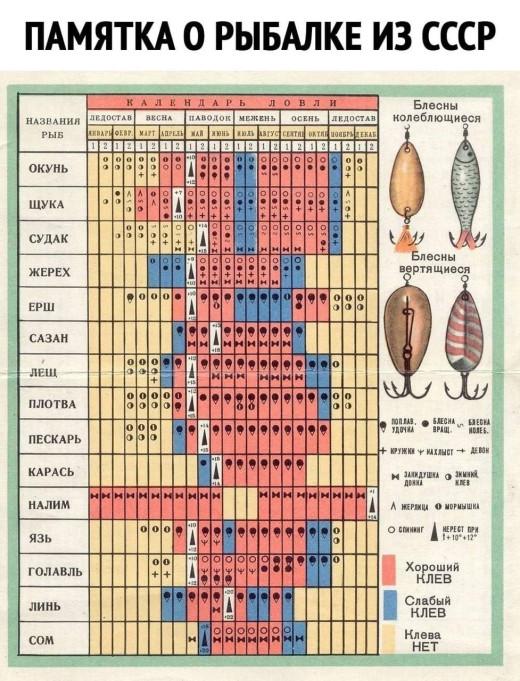 Памятка о рыбалке из СССР
