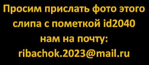 Лодочный Кемпинг Шалаш-0